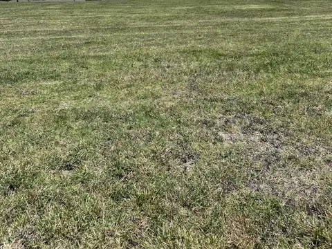 Terreno en Venta de 1000,0 m2