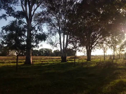 Excelente Oportunidad - 10.000m2 Marcos Paz