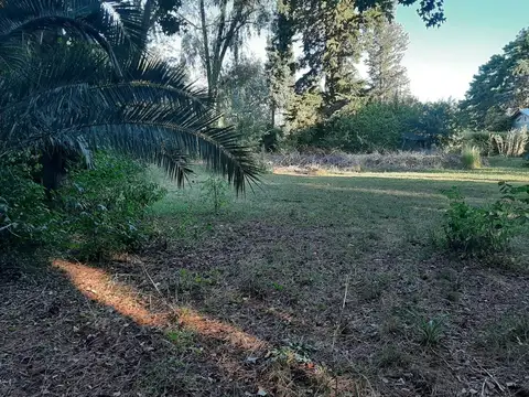 Terreno en Venta de 1000,0 m2