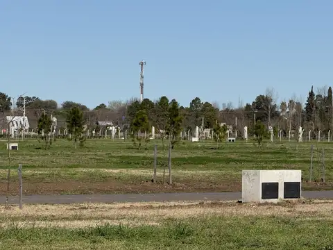 Terreno en Venta en Vida Lagoon, USD 81.000