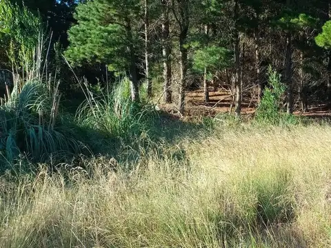 Terreno en Venta de 1000,0 m2