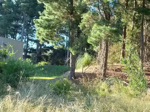 Terreno en Venta en Barrio Golf 1, USD 65.000