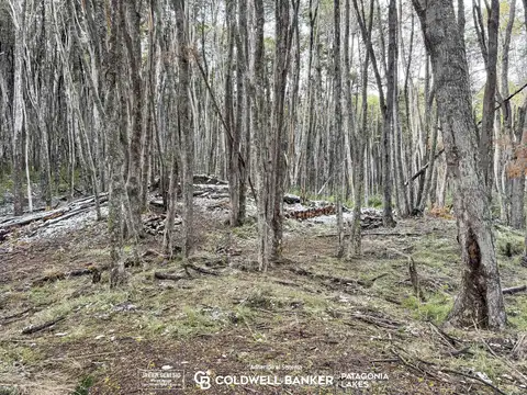 Terreno en Venta de 1478,0 m2