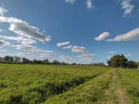 Calle 517 esquina 645 3900