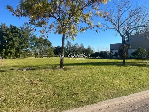 Terreno en Venta 46  mts Frente