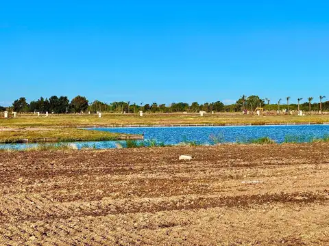 Terreno en Venta de 870,0 m2