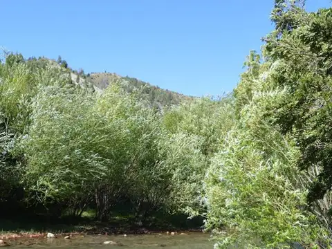 Rp40 El Bolson Rio Negro