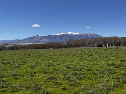 Terreno en Venta 147  mts Fondo