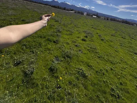 Ruta 259 - 3 km de la ciudad de Trevelin