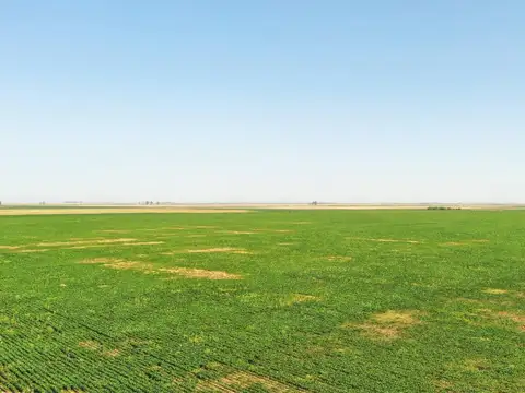 Camino rural