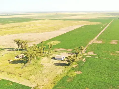 CAMPO AGRÍCOLA 240has EN VENTA, CÓRDOBA,  ZONA CERCA DE RUFINO