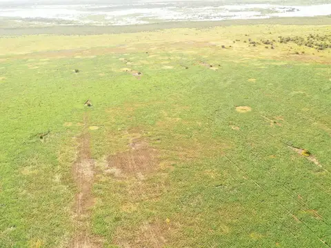 Camino rural