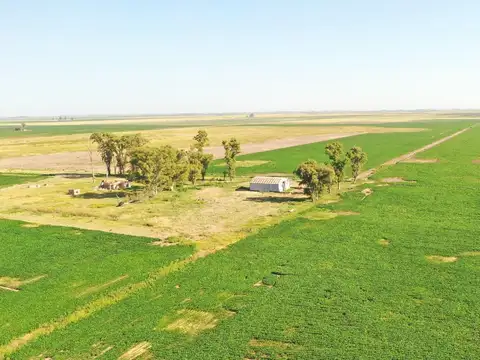 CAMPO AGRÍCOLA 240has EN VENTA, CÓRDOBA,  ZONA CERCA DE RUFINO
