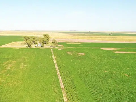 Camino rural