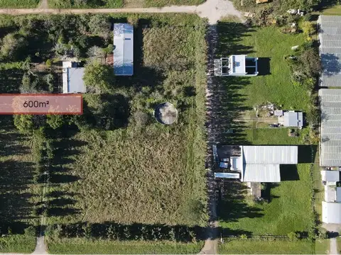 Lote Terreno en venta en La Plata, Lisandro Olmos 600m²
