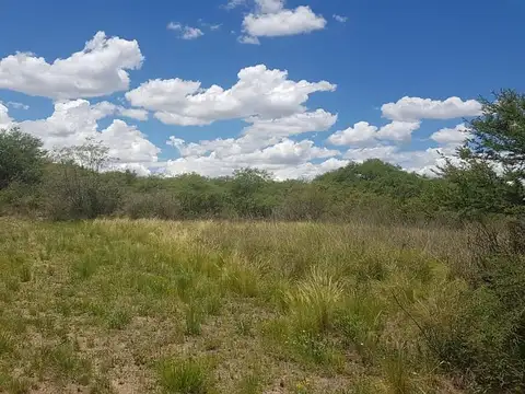 Campo de 24 hectáreas en venta Villa Larca San Luis