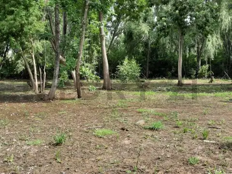Arroyo Caraguata 600