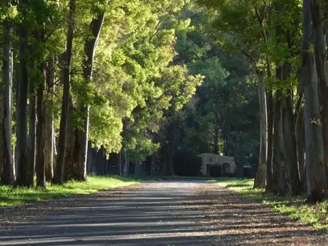 MLM. Lote interno en Barrio Haras San Pablo, Gral Rodriguez