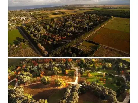 Lote en Barrio Los Pinares - Santa Clara