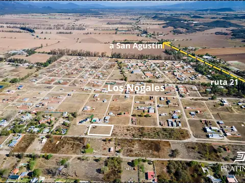 Cerrillos, Salta, 100