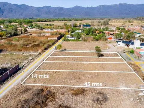 Cerrillos, Salta, 100