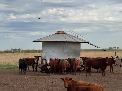 CAMPO EN VENTA EN CARLOS TEJEDOR