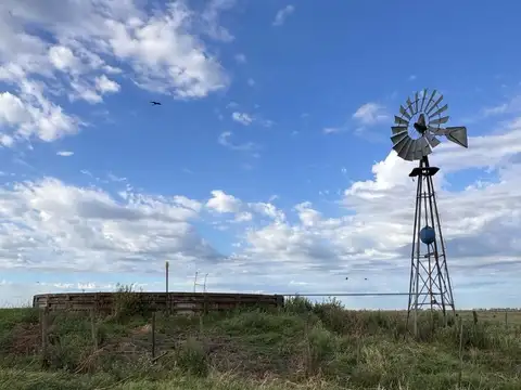 CAMPO EN VENTA EN CARLOS TEJEDOR