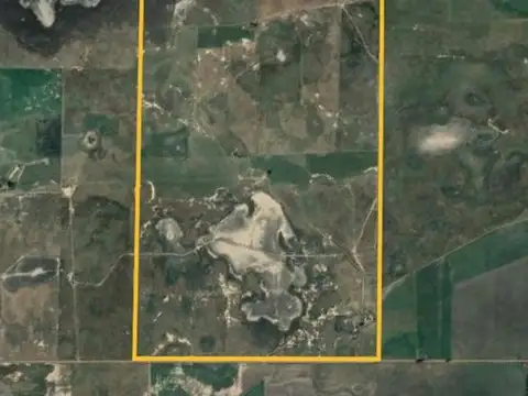 CAMPO EN VENTA EN CARLOS TEJEDOR