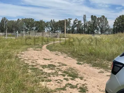 Terreno en Venta, 7379 m², Zona Parque Industrial Ferreyra. con Escritura