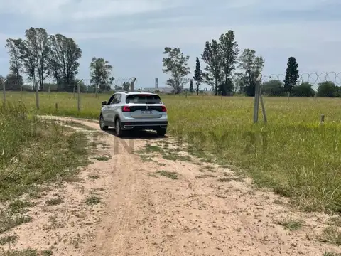 suburbio se , Piso 0