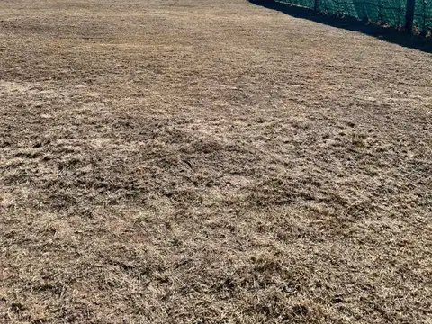 Terreno en Venta en Juana Koslay, USD 45.000