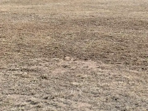 Autopista Los Puquios