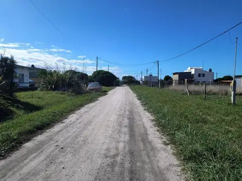 La Gallareta