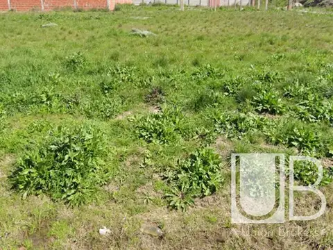 Terreno en Venta 10  mts Frente