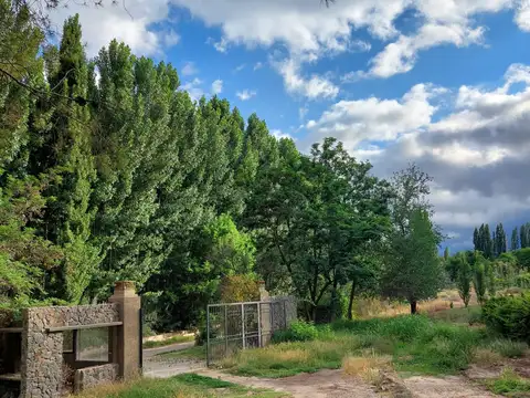 Venta lote en perdriel luján de cuyo