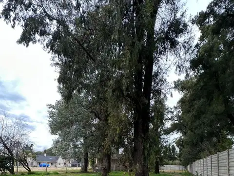 Terreno en Venta en Muñiz, USD 110.000