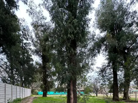 Terreno en Venta 30  mts Fondo