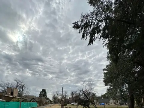 Alberto Williams 800