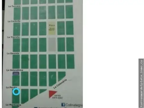 Calle Teru 100