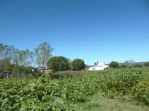 Lote de Terreno