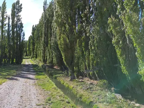 Chacra en  Sarmiento