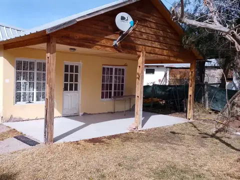 Francisco Mazzoni 100