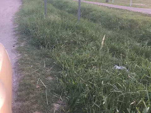 Gran Loteo Industrial zona inmejorable - Esperanza - Ruta 6