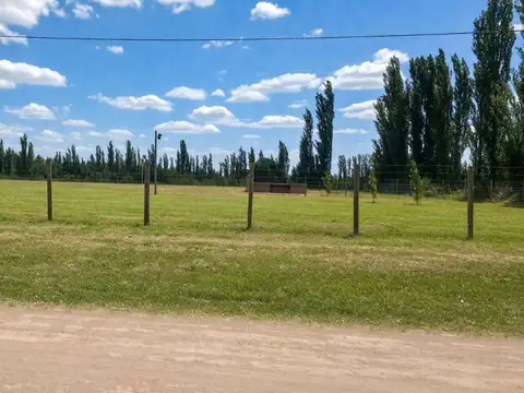 Terreno en Venta de 1955,0 m2