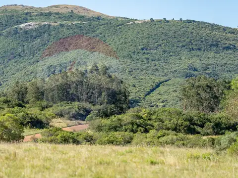 Chacra en venta con vista a las sierras Piriápolis