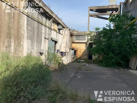 Osvaldo Magnasco al 1100