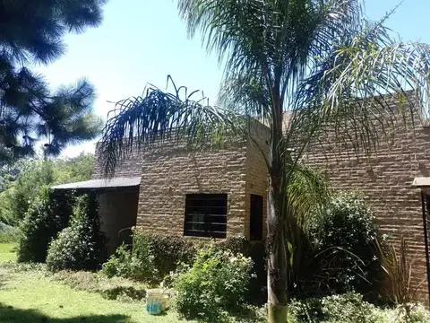 Chañas 5025