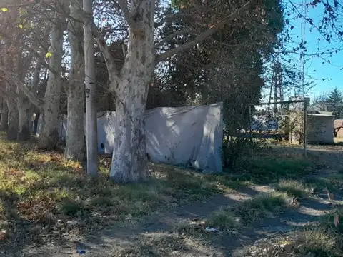 Rucanelo y Alemán