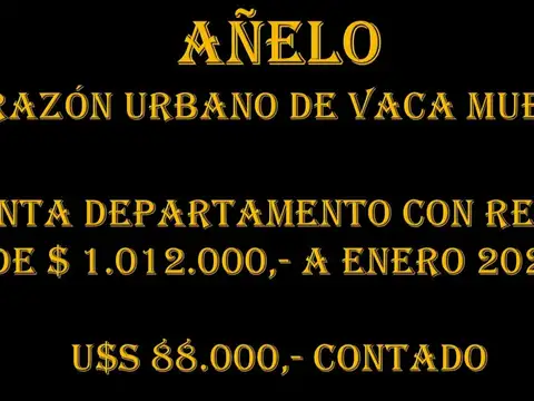 EXCEPCIONAL OFERTA - DOS AMBIENTES CON RENTA EN AÑELO
