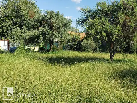 Lote a pocas cuadras del centro de 665 m2 ideal para PH